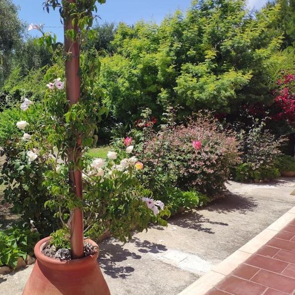 La Casa Di Giada, Appartamento In Villetta Con Aria Condizionata, Wi-Fi E Parcheggio Gratuito Poggi Экстерьер фото